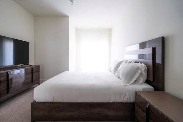 bedroom with carpet floors