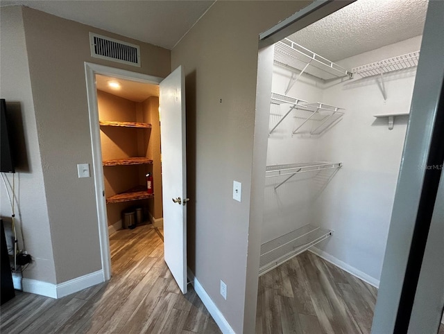 spacious closet with wood-type flooring