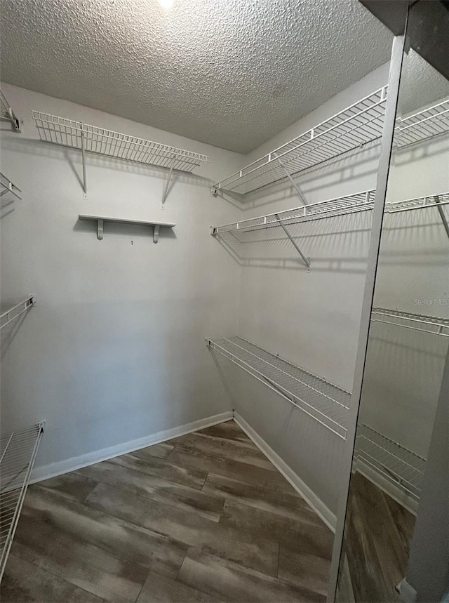 spacious closet featuring wood-type flooring