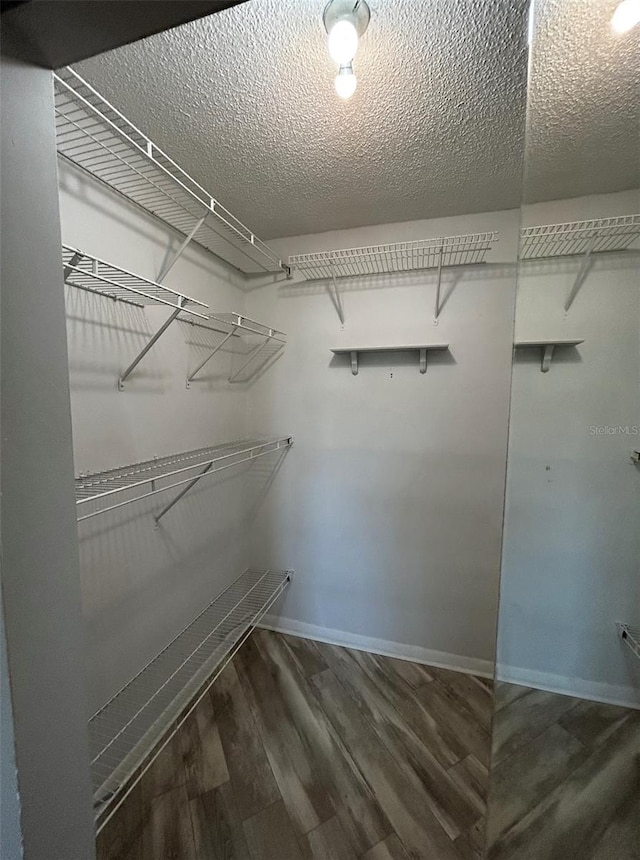 walk in closet with dark hardwood / wood-style flooring