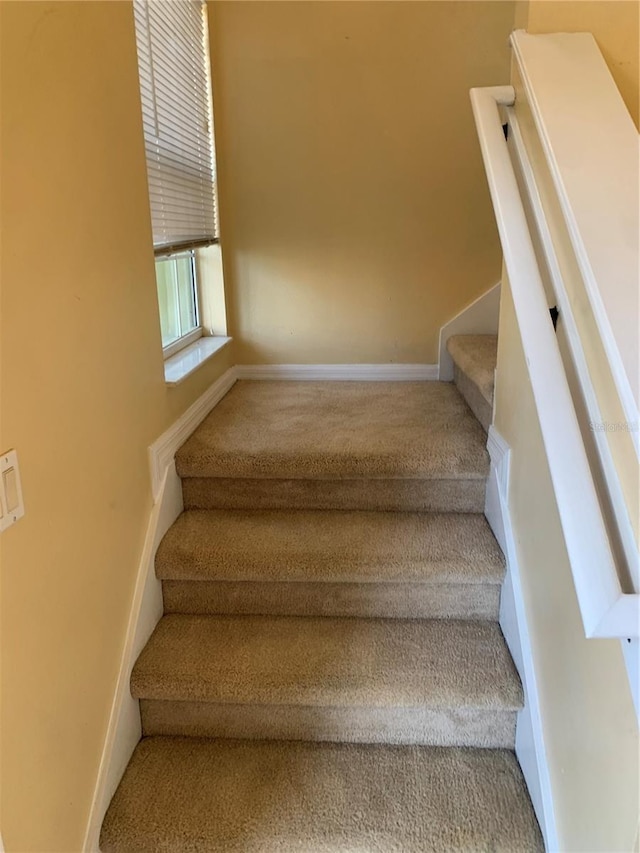 stairs featuring carpet flooring