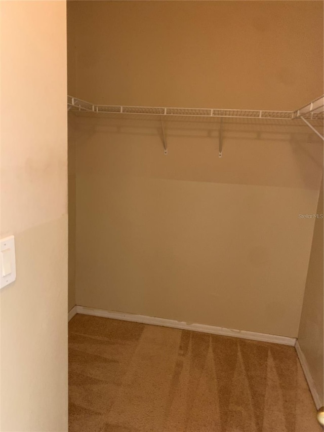 spacious closet featuring light colored carpet