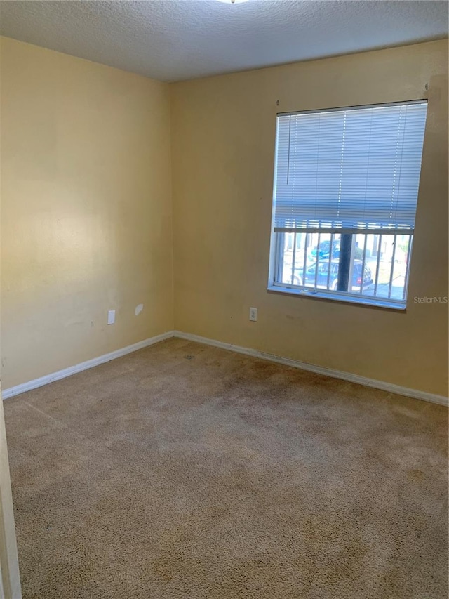 empty room with carpet flooring and a textured ceiling