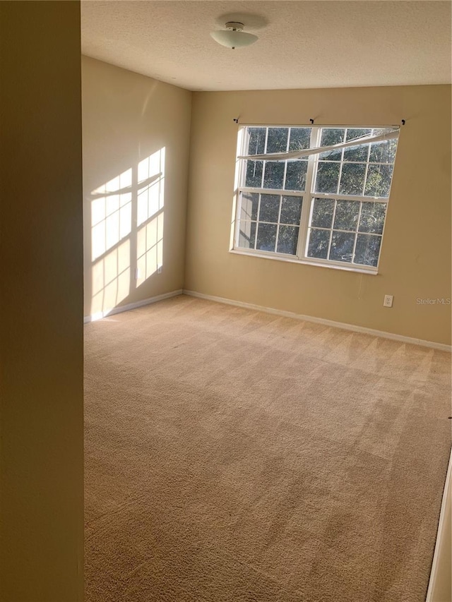 spare room with carpet and a textured ceiling