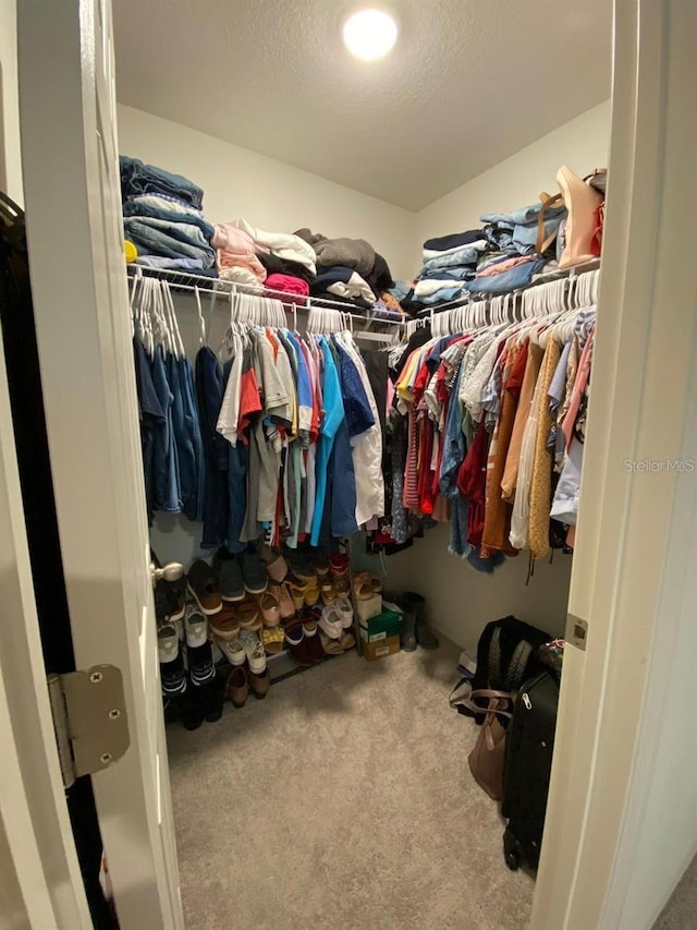 walk in closet featuring light carpet