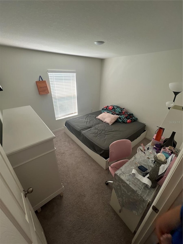 bedroom featuring carpet