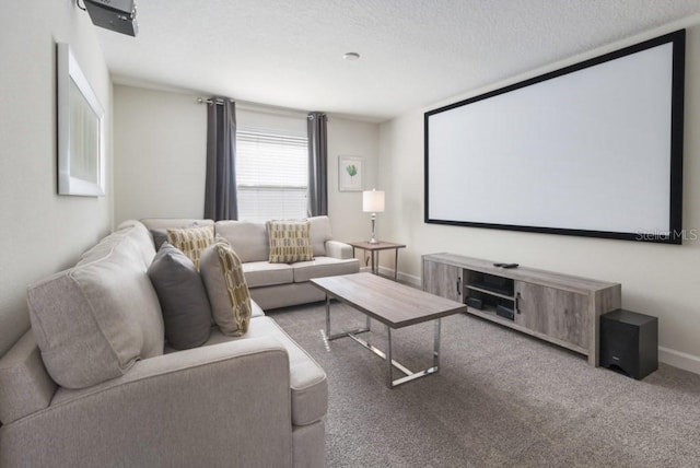 carpeted cinema with a textured ceiling