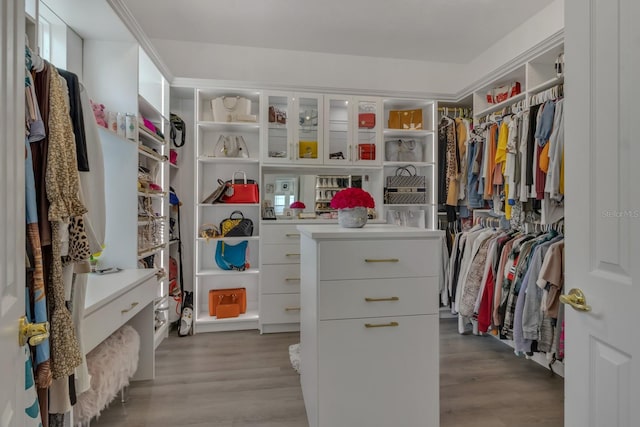 walk in closet featuring light hardwood / wood-style flooring