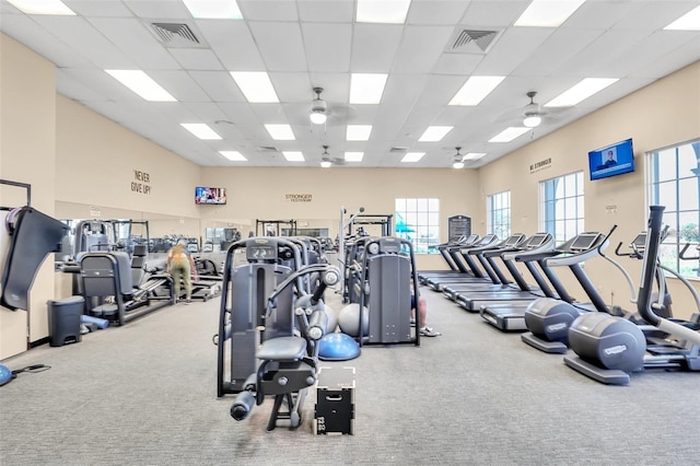 exercise room with carpet flooring, a drop ceiling, and ceiling fan