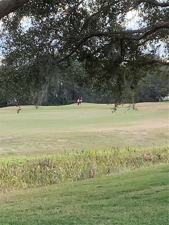 view of home's community featuring a yard