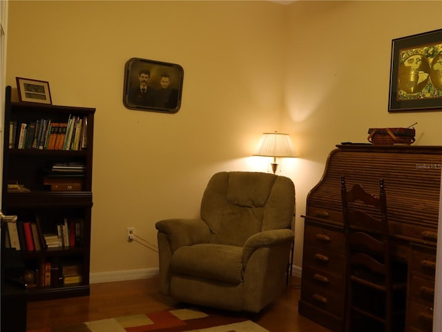 living area featuring dark wood-type flooring