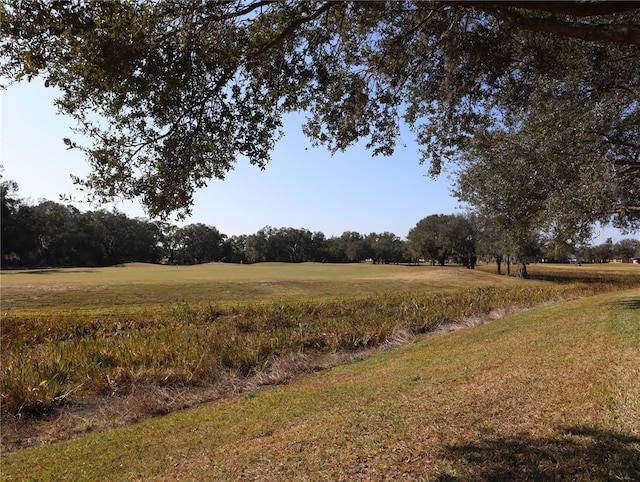 view of nature