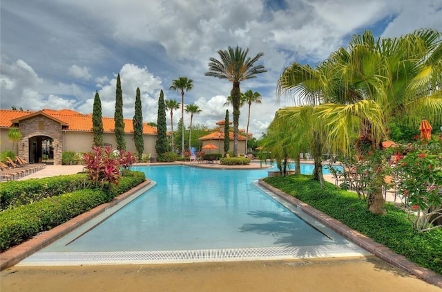 view of swimming pool featuring a patio