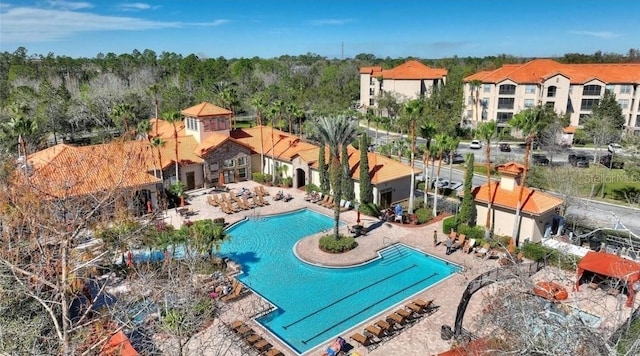 view of swimming pool with a patio area