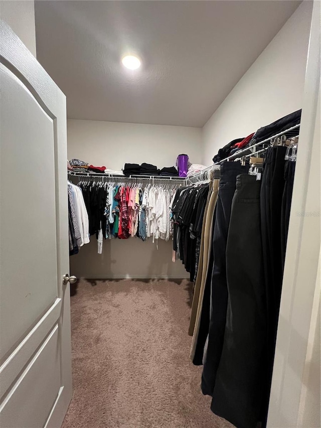 walk in closet featuring carpet