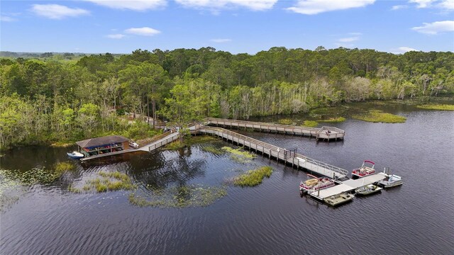 bird's eye view featuring a forest view and a water view