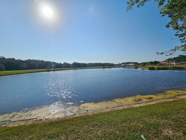 property view of water