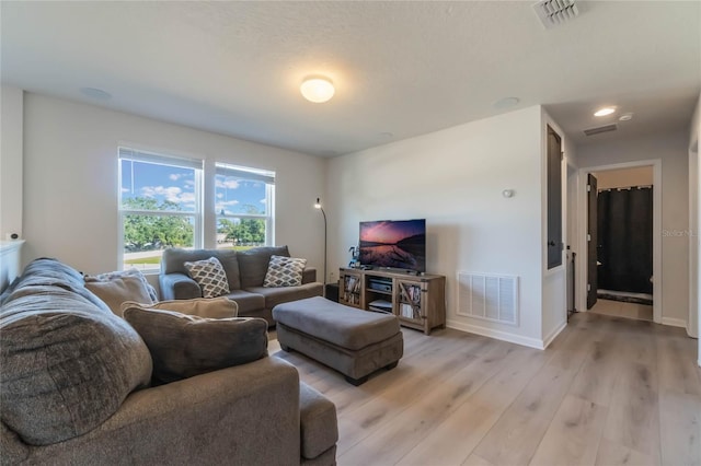 living room featuring light wood-type flooring