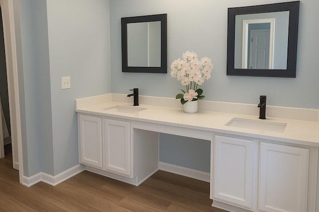 bathroom featuring wood finished floors, a sink, and double vanity