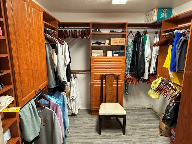 walk in closet featuring hardwood / wood-style flooring