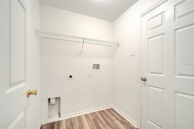 washroom with hookup for a washing machine, hookup for an electric dryer, a textured ceiling, and light hardwood / wood-style flooring