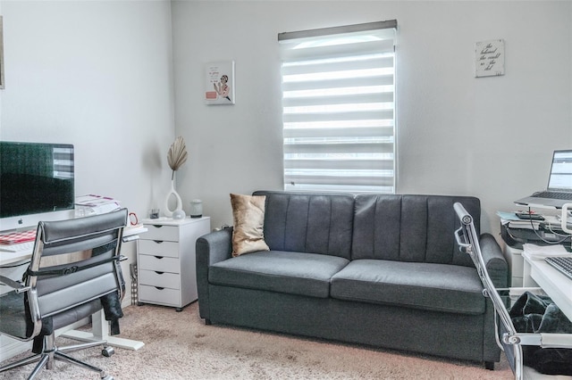 office space featuring light carpet and a healthy amount of sunlight