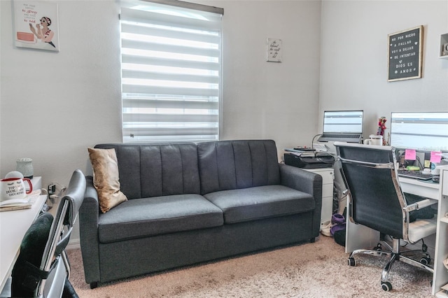 carpeted office with a healthy amount of sunlight