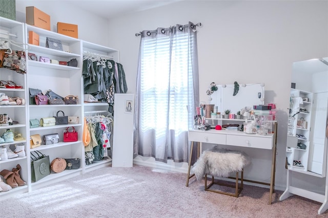 interior space featuring carpet floors