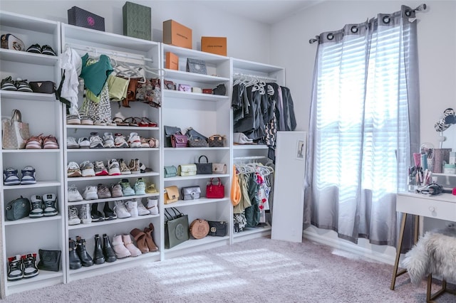 spacious closet featuring carpet flooring