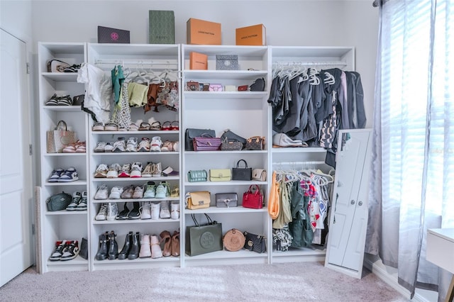 view of closet