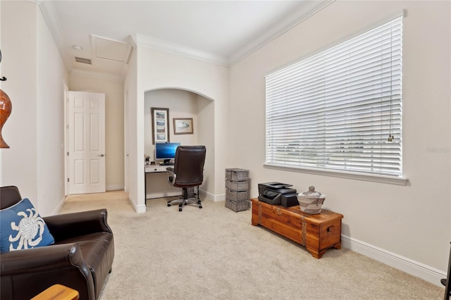 carpeted home office featuring plenty of natural light and crown molding