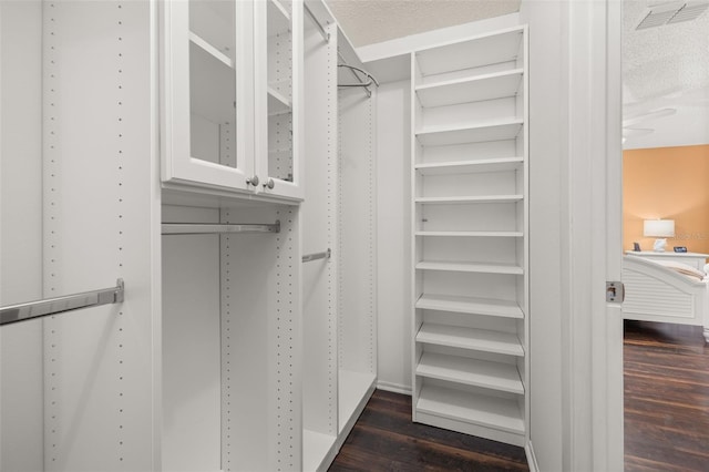 spacious closet featuring ceiling fan and dark hardwood / wood-style floors