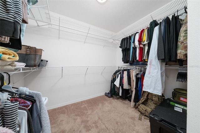 spacious closet featuring carpet