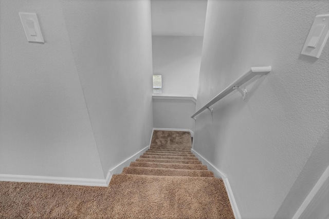 stairs featuring carpet flooring