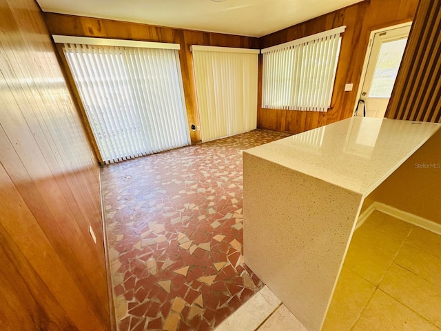 kitchen with wood walls