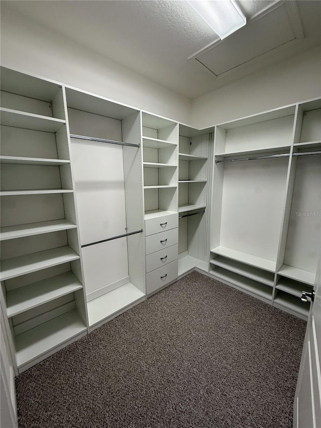 walk in closet featuring dark carpet