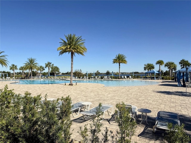 view of swimming pool featuring a patio