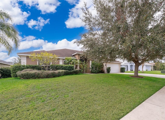 view of front of home featuring a front yard