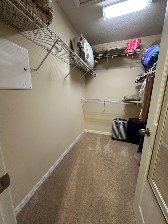 spacious closet with carpet