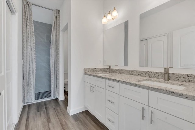 bathroom with vanity, hardwood / wood-style flooring, toilet, and curtained shower