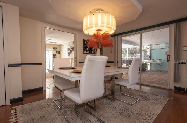 dining area featuring dark wood-type flooring