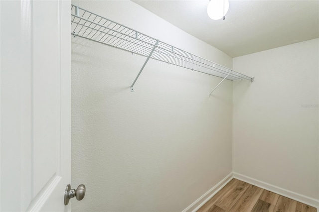 spacious closet with hardwood / wood-style floors