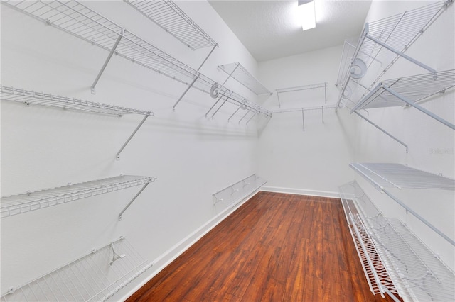 spacious closet with dark hardwood / wood-style floors