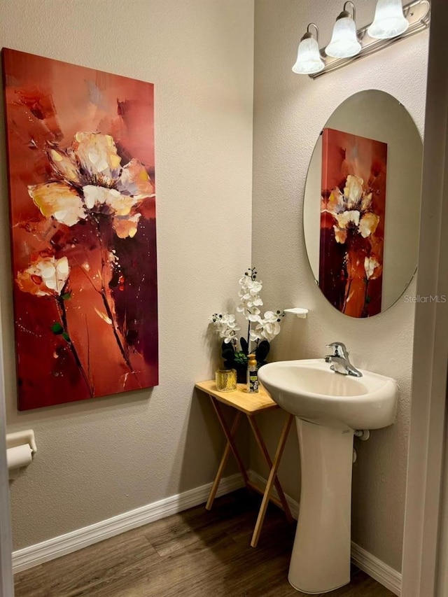 bathroom with hardwood / wood-style floors