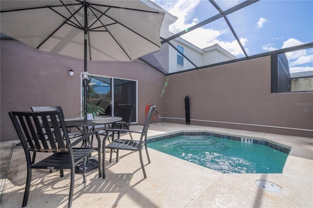 view of swimming pool with a lanai and a patio area