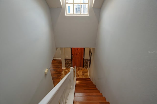 staircase with wood-type flooring