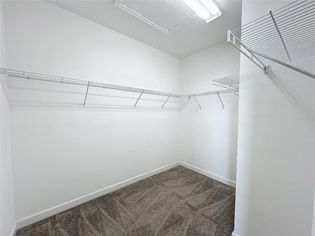 spacious closet with carpet