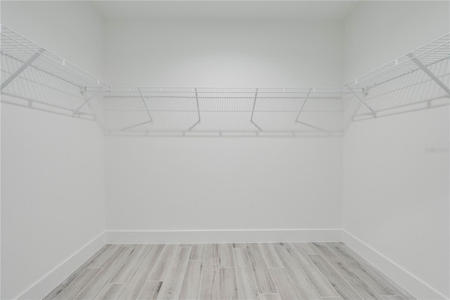 spacious closet featuring light wood-type flooring