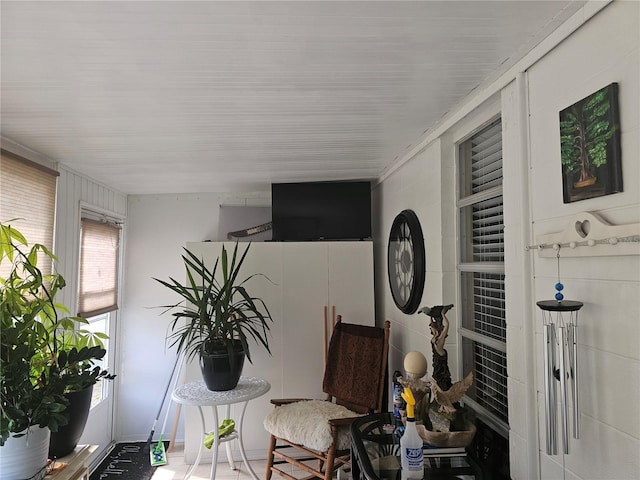 living area featuring a wealth of natural light