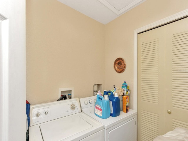 clothes washing area featuring washer and dryer and ornamental molding